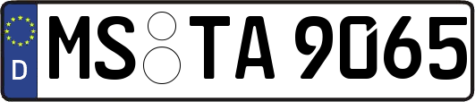 MS-TA9065