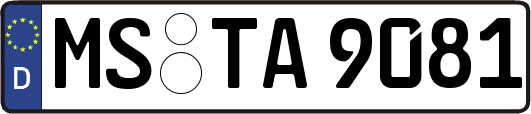 MS-TA9081