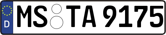 MS-TA9175