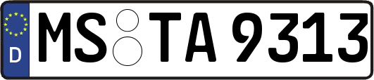 MS-TA9313