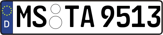 MS-TA9513