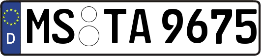 MS-TA9675