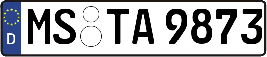 MS-TA9873