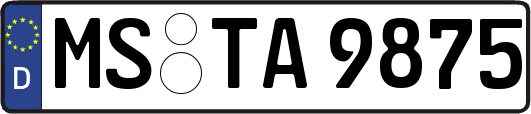 MS-TA9875