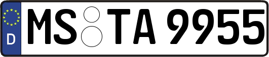 MS-TA9955