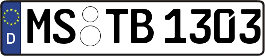 MS-TB1303