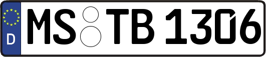 MS-TB1306