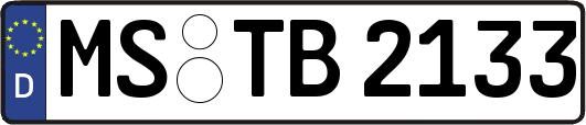 MS-TB2133