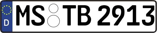 MS-TB2913