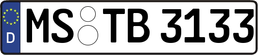 MS-TB3133