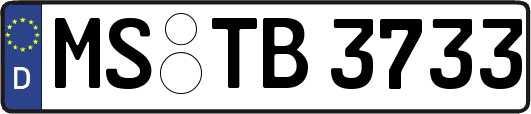 MS-TB3733