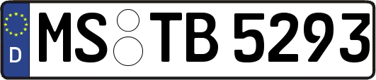 MS-TB5293