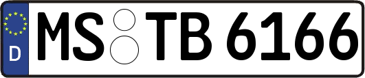 MS-TB6166