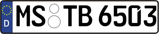 MS-TB6503