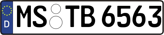 MS-TB6563