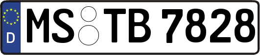 MS-TB7828