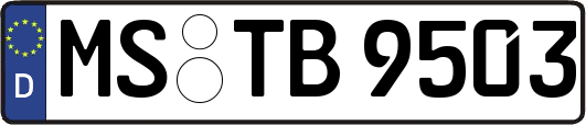 MS-TB9503
