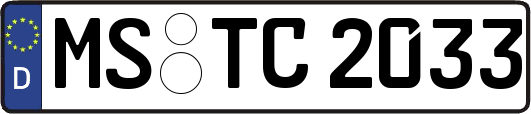 MS-TC2033