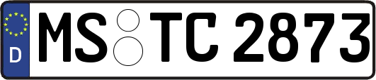 MS-TC2873