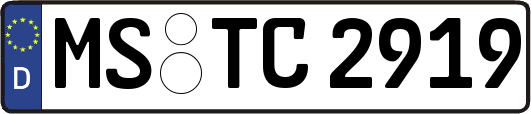 MS-TC2919