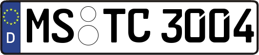 MS-TC3004