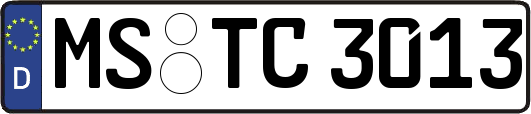 MS-TC3013