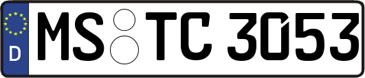 MS-TC3053