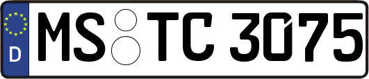 MS-TC3075