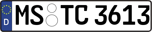 MS-TC3613