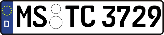 MS-TC3729