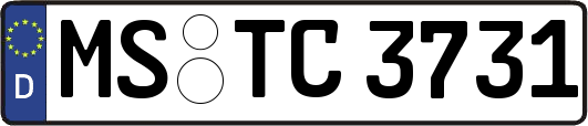 MS-TC3731