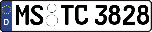 MS-TC3828