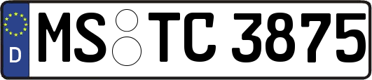 MS-TC3875