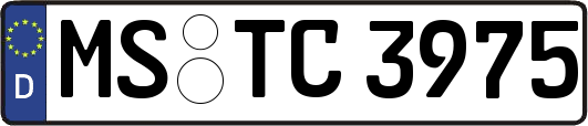 MS-TC3975