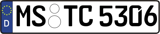 MS-TC5306