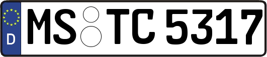MS-TC5317