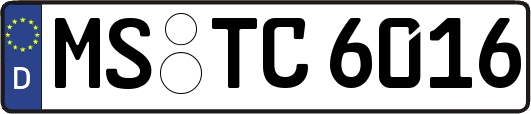 MS-TC6016