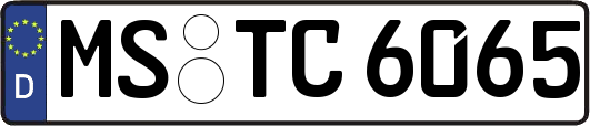 MS-TC6065