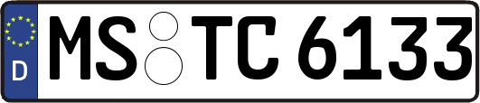 MS-TC6133