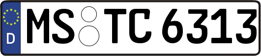 MS-TC6313