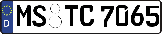 MS-TC7065