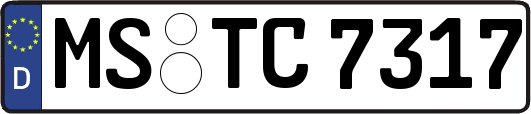 MS-TC7317