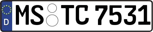 MS-TC7531