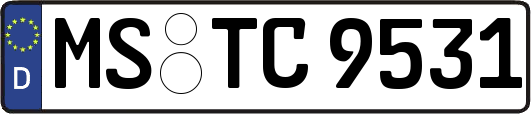 MS-TC9531