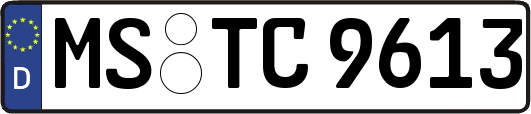 MS-TC9613