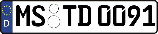 MS-TD0091