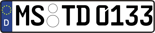 MS-TD0133