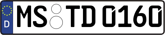 MS-TD0160