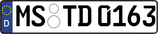 MS-TD0163
