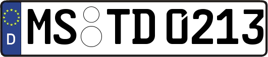MS-TD0213
